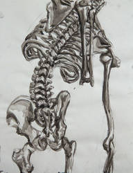 Skeletal