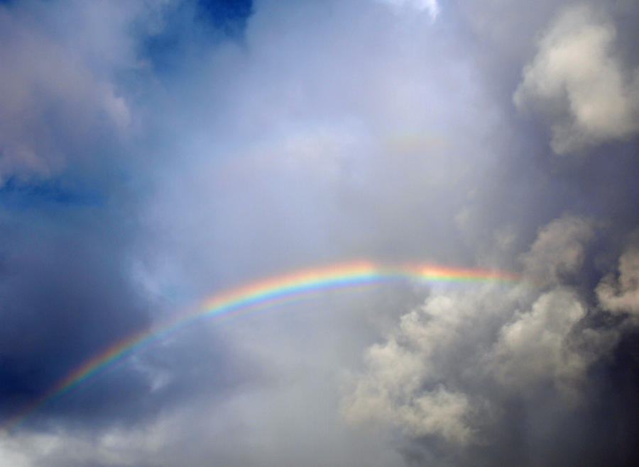 Rainbow 1 by photographyflower