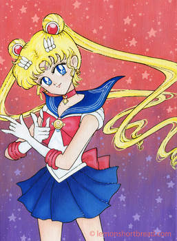 Sailor Moon on canvas