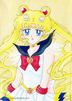 Super Sailor Moon on canvas