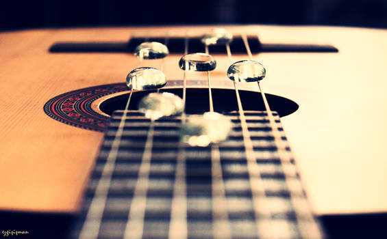 My Guitar