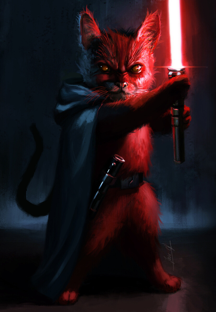 SITH KITTY!!! by daves2012 on DeviantArt