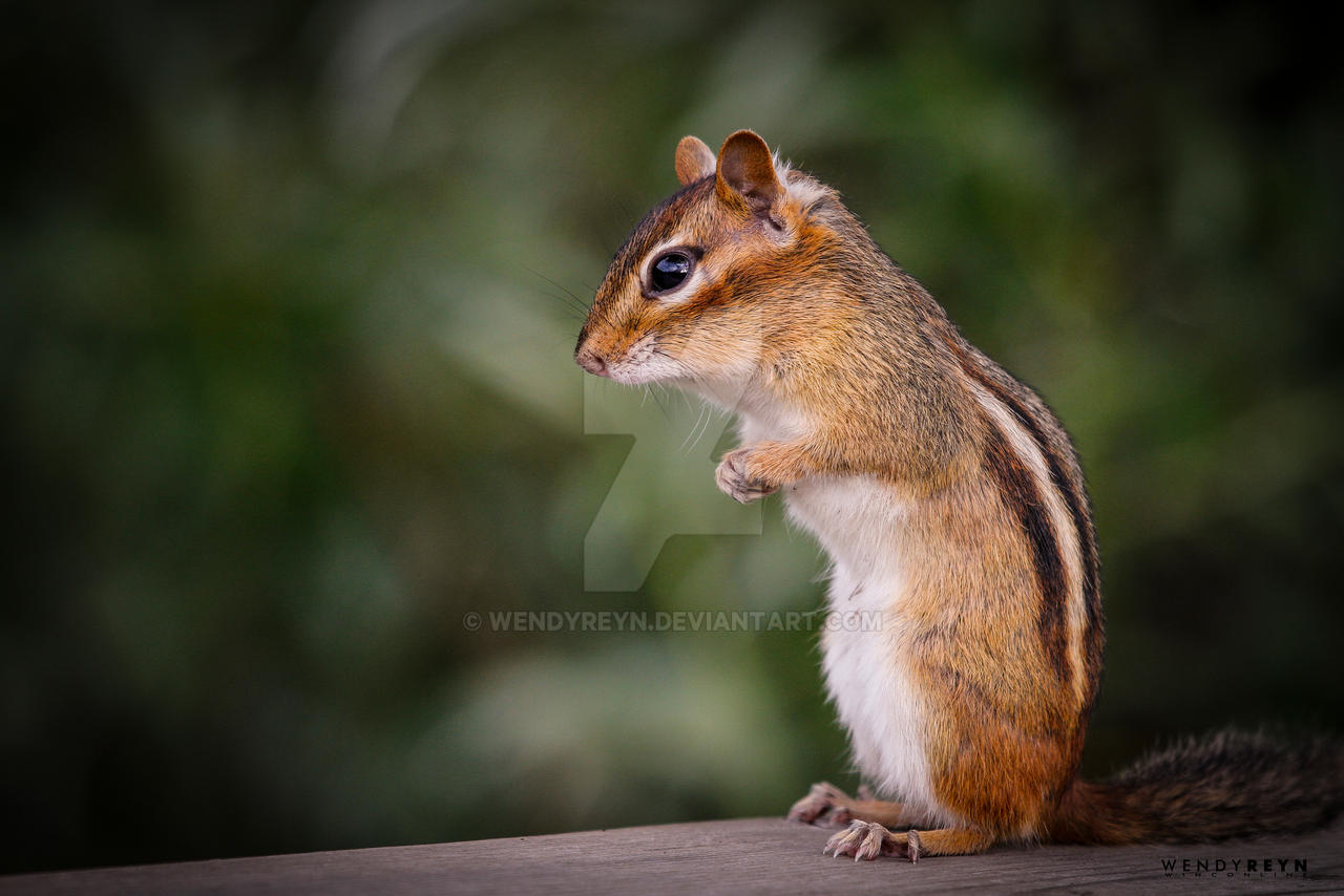 Please kind sir ... could you spare a seed?