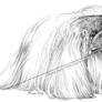 Digital 1 pixel drawing Pekingese