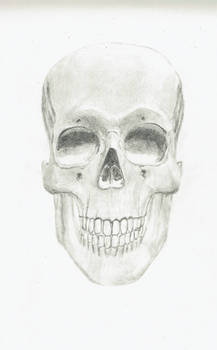 Skull