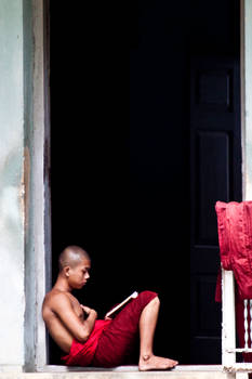 Burmese Monk