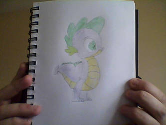 Spike - MLP FIM