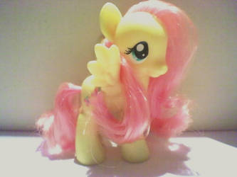 Fluttershy