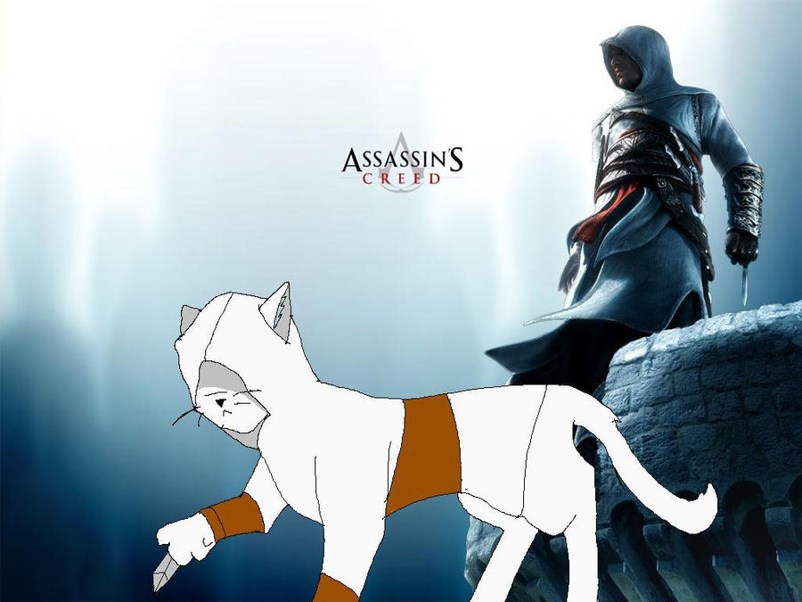 ASSASSIN KITTY by thundergrowl on DeviantArt