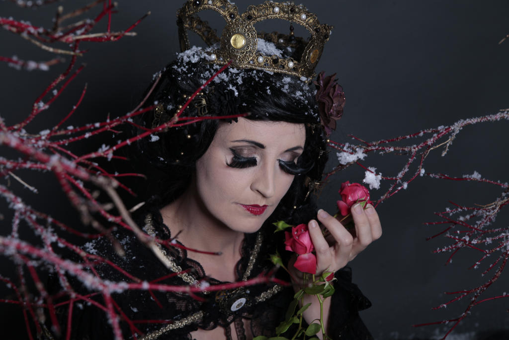 Stock - Fairy tale Fantasy Snow white roses 2 by S-T-A-R-gazer Stock - Fairy tale Fantasy Snow white roses 2 by S-T-A-R-gazer