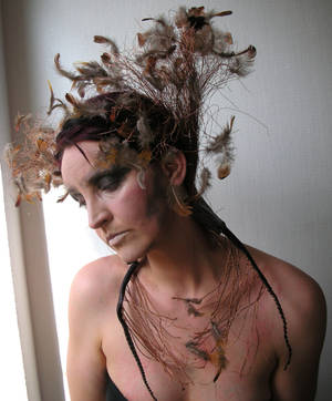 Stock - Mother of birds .. feather crown by S-T-A-R-gazer