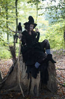 Stock - Halloween special witch on a tree