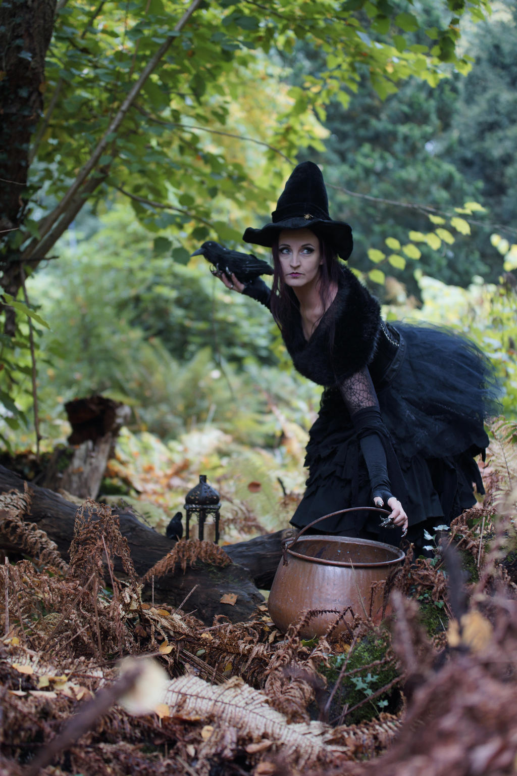 Stock - Halloween special witch  Cauldron scene