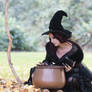 Stock - Halloween special witch look in cauldron