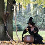 Stock - Halloween special witch uses cauldron