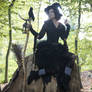 Stock - Halloween special witch sitting on tree