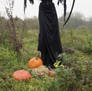 Stock - Halloween Scarecrow 22