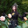 Stock - In the rose garden .. gothic dark fantasy