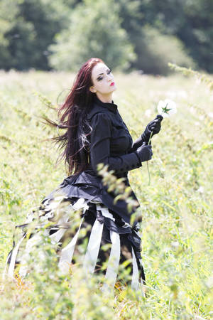 Stock - fields back umbrella burton gothic wind 4 by S-T-A-R-gazer Stock - fields back umbrella burton gothic wind 4 by S-T-A-R-gazer