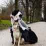 Stock - Baroque Lady dogs  gothic by Angel-Arts 4