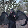 Stock - Gothic woman flying wings 1