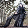 Stock - Gothic Lady black dark veil wind
