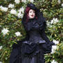 Stock - baroque vampire lady flowers hole body