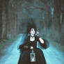 Searching for my ravens .... gothic baroque