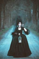 Searching for my ravens ....  gothic baroque