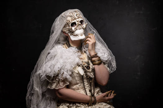 Stock - Steampunk Skull bride portrait side dark