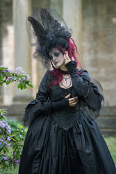 Stock - Lady Crow portrait pose raven goth woman