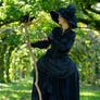 Stock - Witch raven gothic halloween elegant