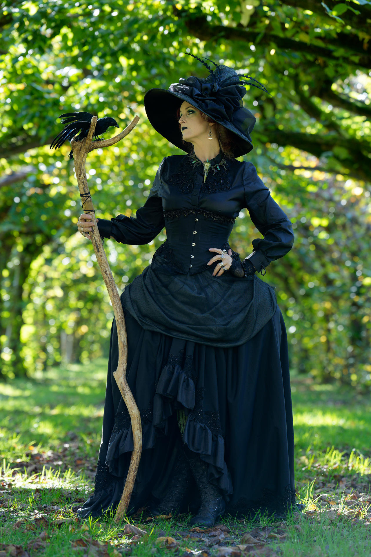 Stock - Witch vintage looking at raven romantic