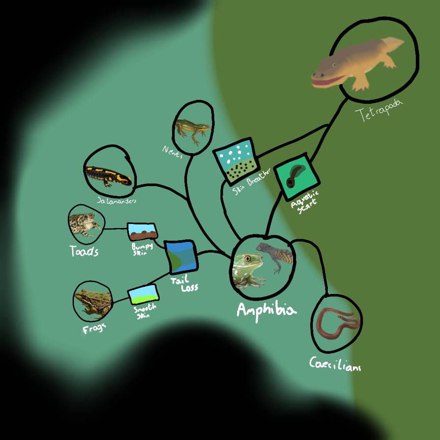 Cell to Singularity - Amphibian Update by Chickadeesarecool on DeviantArt