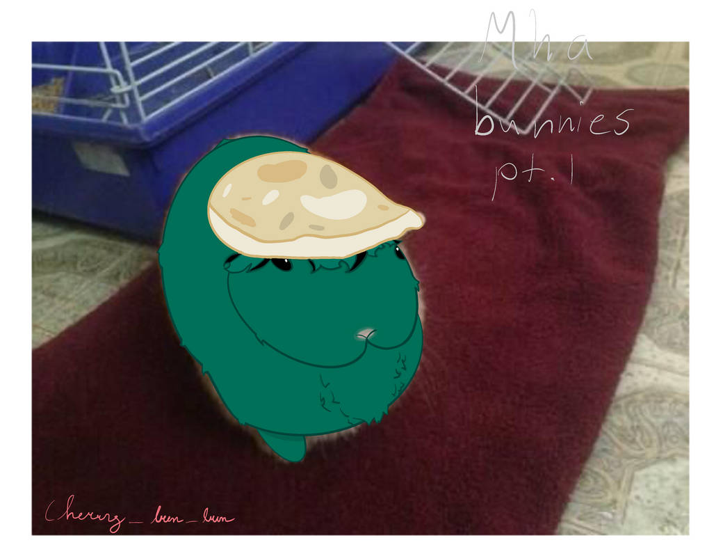 MHA Bunnies pt. 1 || Deku by shreksw1fe on DeviantArt