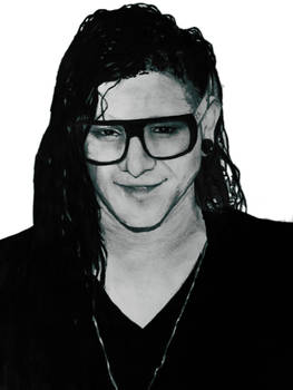 Skrillex traditional attempt