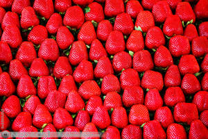 Strawberries