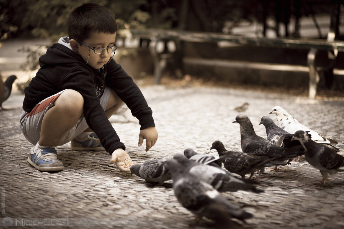 Мальчик и птица сколько. Мальчик с голубем. Человек кормит птиц. Дети кормят голубей. Мальчик кормит птиц.