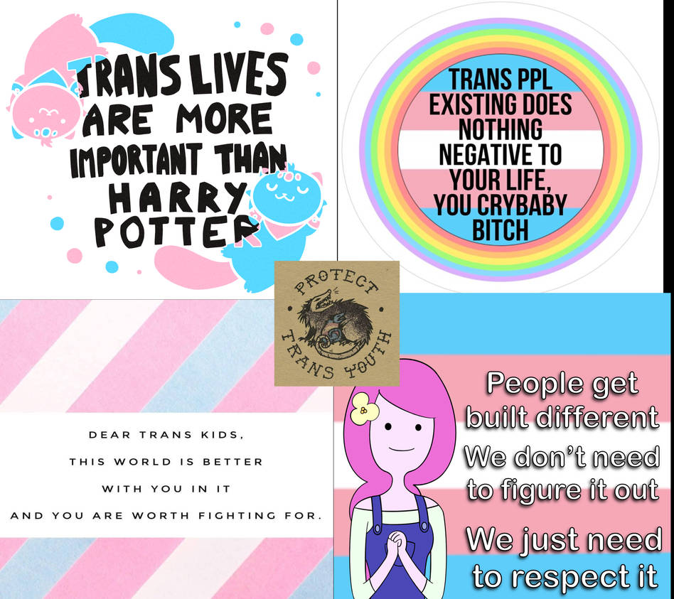 Sml Trans Rights Trans rights by davidjann01 on DeviantArt