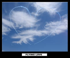 FLYING LOVE