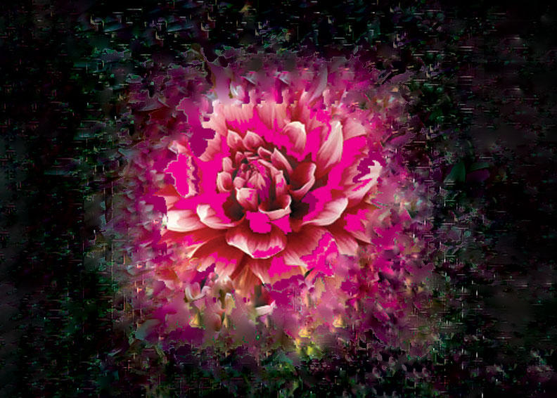 Distorted Plant Drawings distorted flower by Chrisengstrom on DeviantArt
