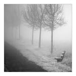 Winter bench by Socratim