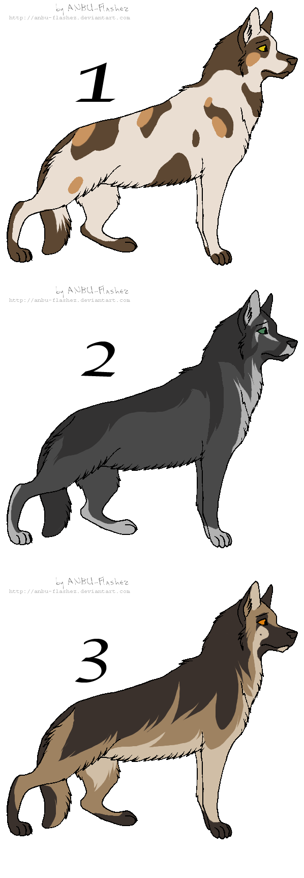 Point adopt - Dogs 5