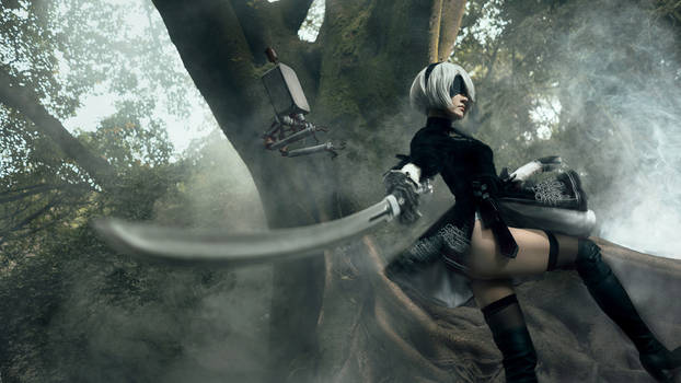 NieRAutomata