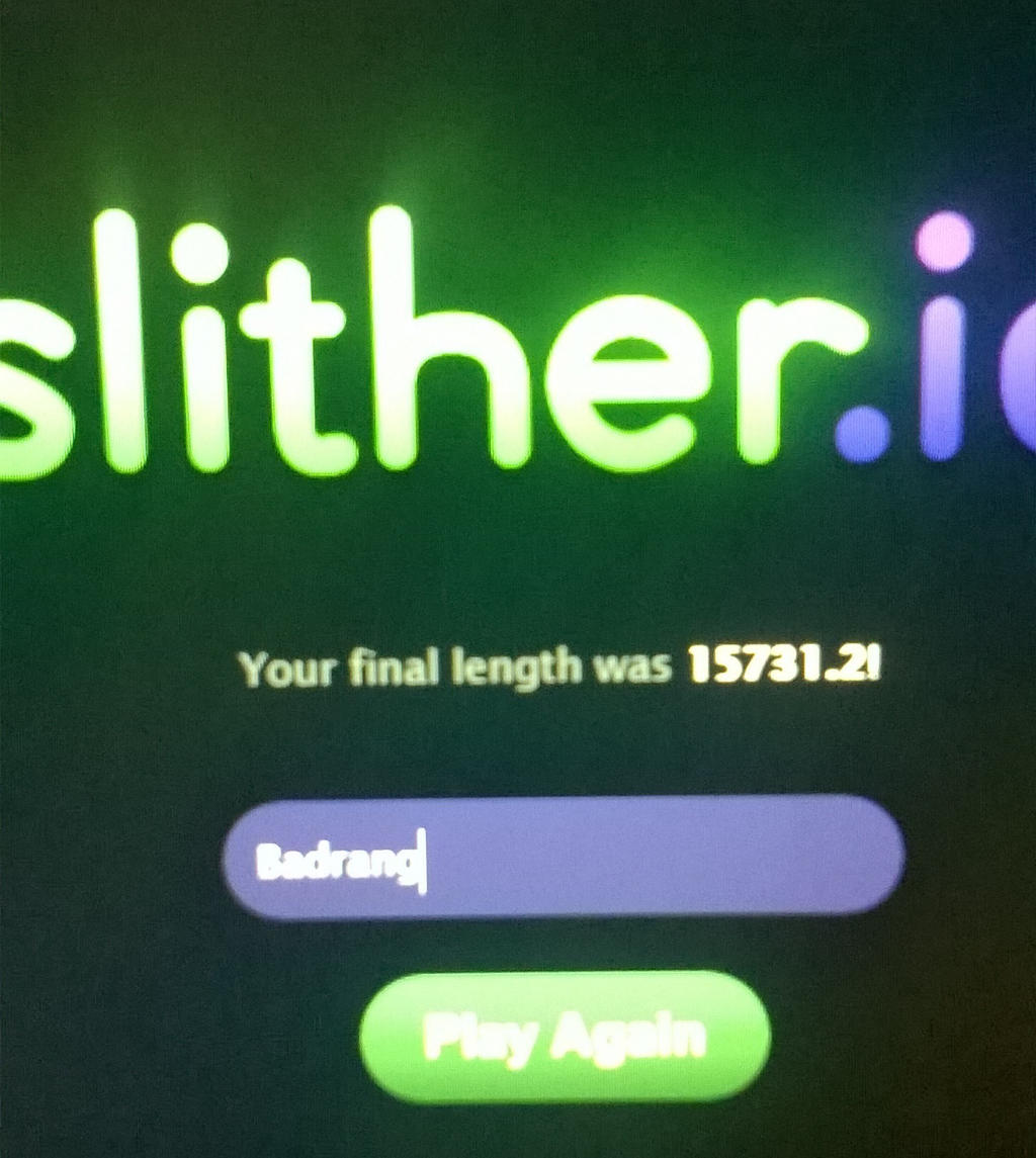 Slither.IO High Score!