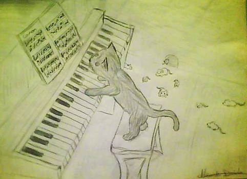 Piano cat