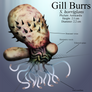 Gill burrs