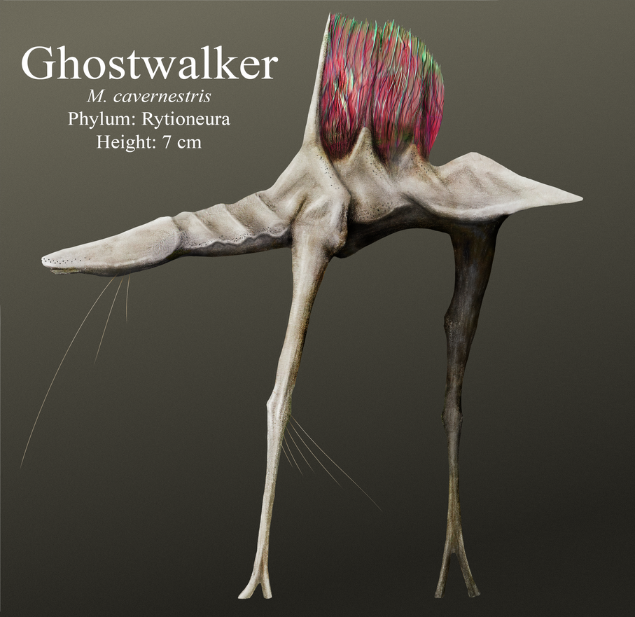 Ghostwalker by PesterJelly on DeviantArt