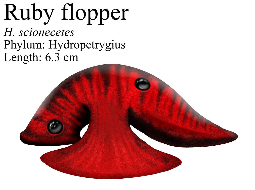 Ruby flopper by PesterJelly on DeviantArt