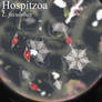 Hospitzoa Slide